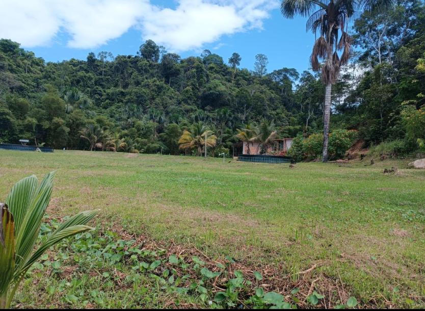 OPORTUNIDAD  DE INVERSION TARAPOTO-SAUCE-4