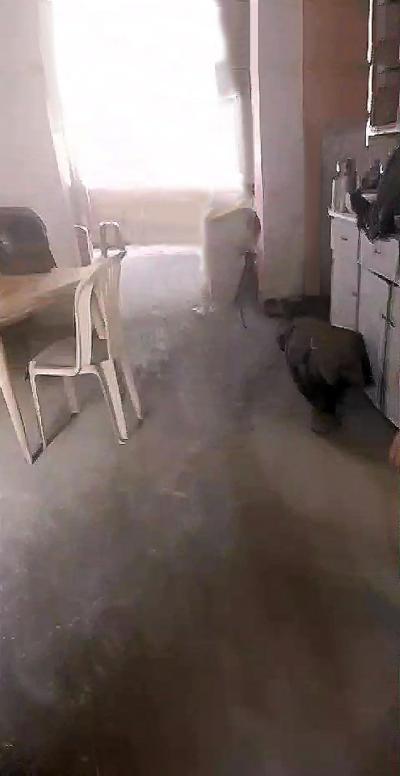 Vendo céntrica casa en el corazón comercial de La Parada a 1 cuadra de la Av Aviación