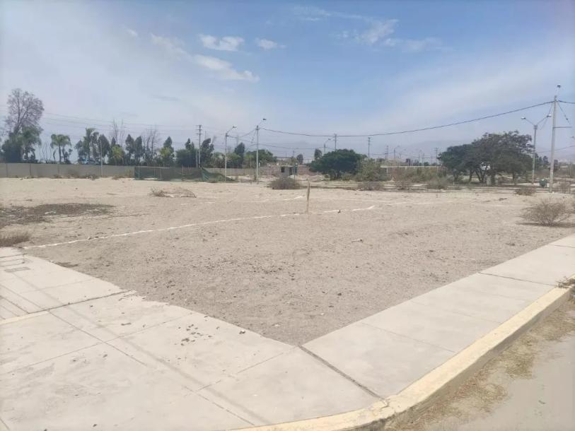 La Florida De Ica 3ra Etapa 256m2-3