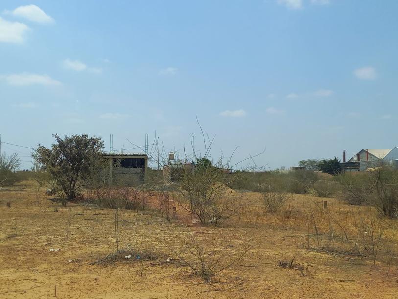 Vendo Terreno 360 m² en ADUS Sullana – 18 m de frente salida directa a la Panamericana-3
