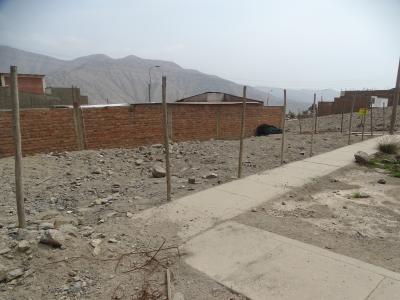 REMATO TERRENO