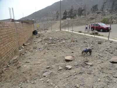 REMATO TERRENO